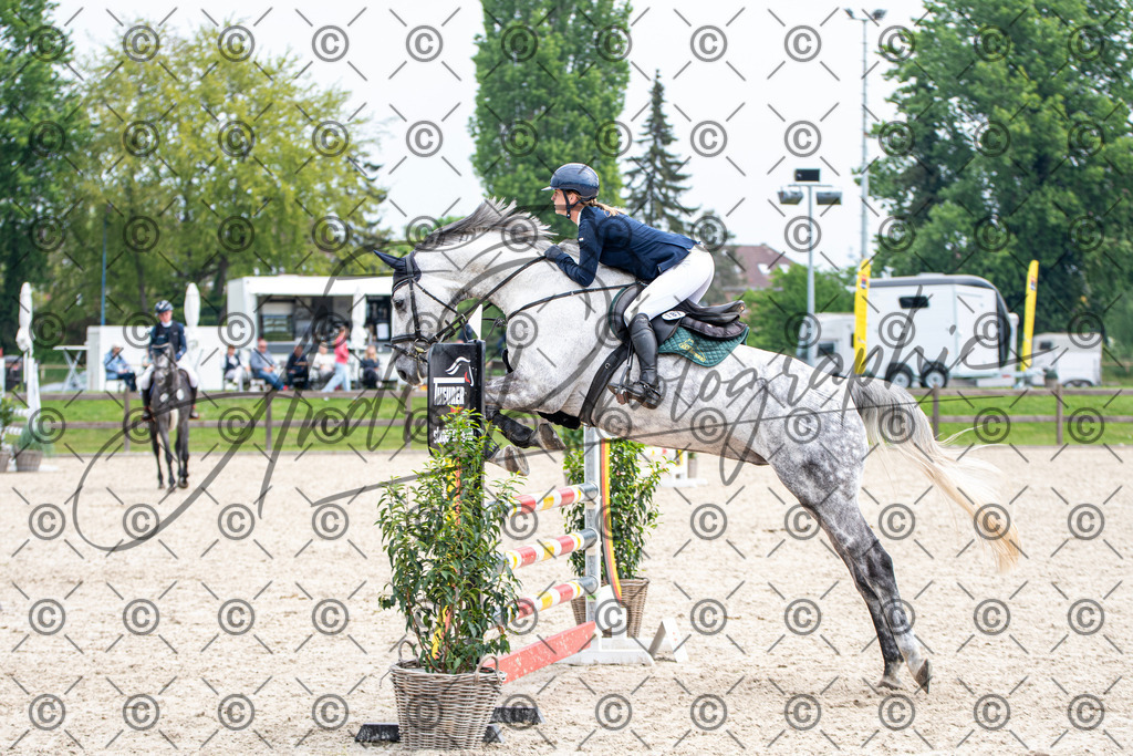 KPT_2867 | andre_photographic