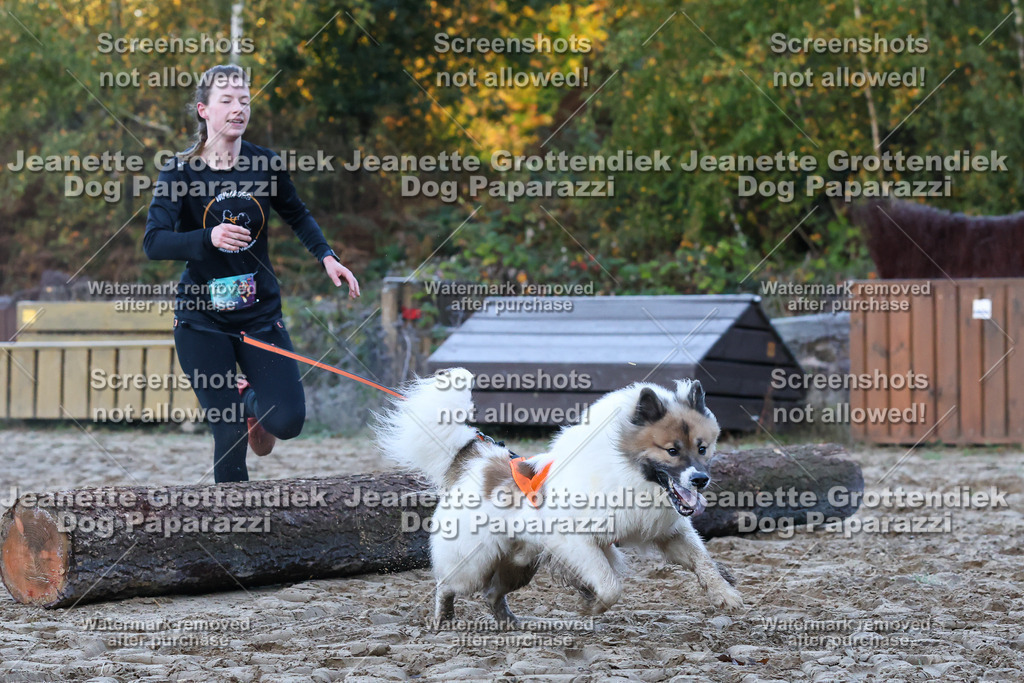 Dog Paparazzi - Strongdog 10-25-206 | Dog Paparazzi Jeanette Grottendiek Fotografie & Videografie - Realisiert mit Pictrs.com