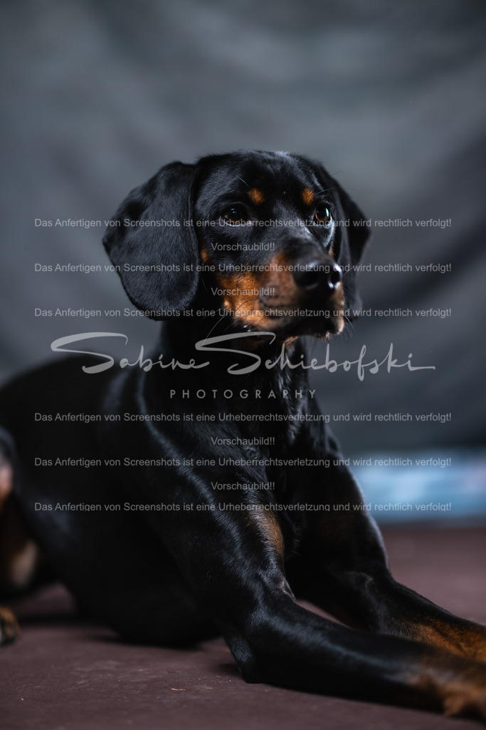 DSCF4436 | People- und Tierfotografie, Imageaufnahmen, Veranstaltungsfotografie und Wandbilder aus der Natur ★ Made in Germany ✔️ Druck + Downloads ✔️ Naturfotografie in Top Qualität ★ schneller Versand, weltweite Lieferung! - Realisiert mit Pictrs.com