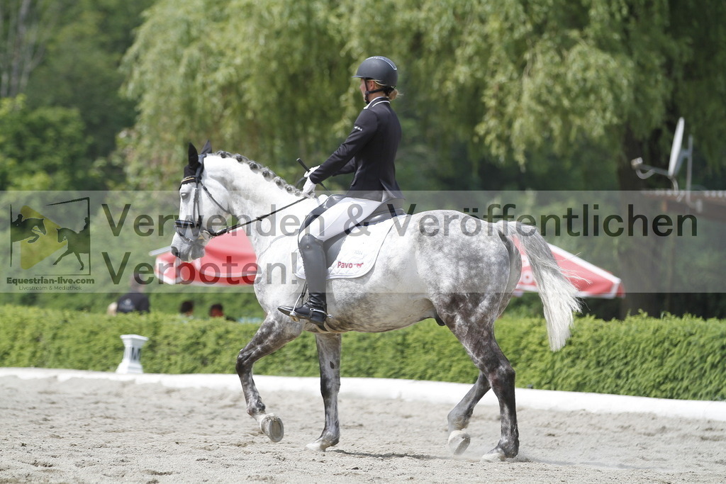 _MG_9009 | equestrian-live-com