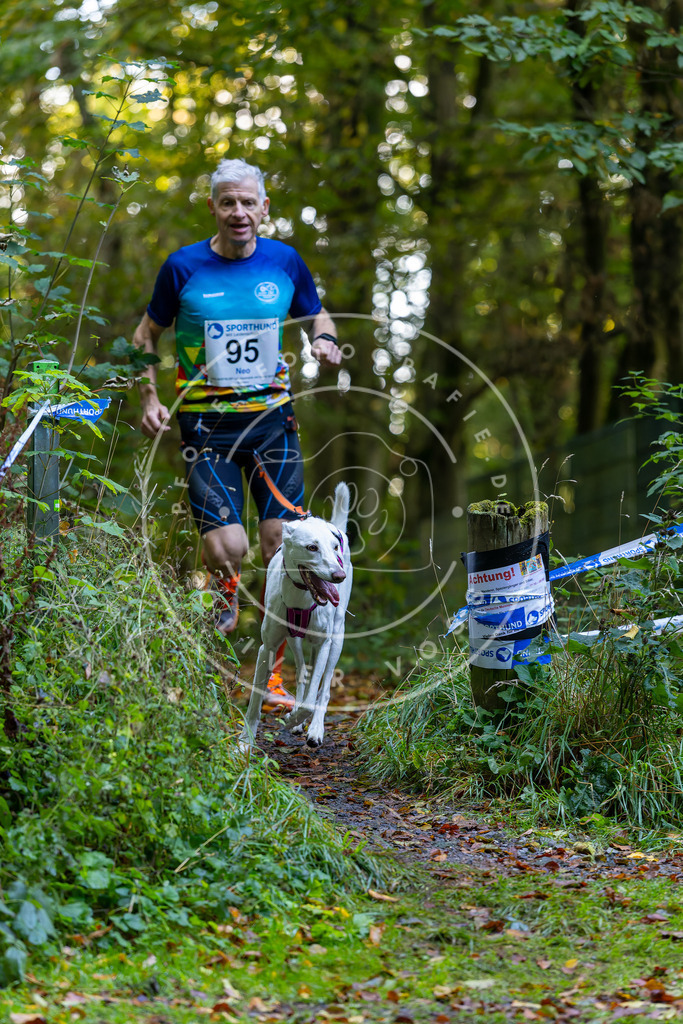 Pfotenfotografie_DV3A7790 | Hundefotografie, Tierfotograf, Pfotenfotografie, Fotoshooting Hund, Hunde Portrait, Hundesport, Hundeportraits, Heideshooting, Hunde, Sportfotograf, Hundefotograf, Turnierhundsport, THS,  - Realisiert mit Pictrs.com