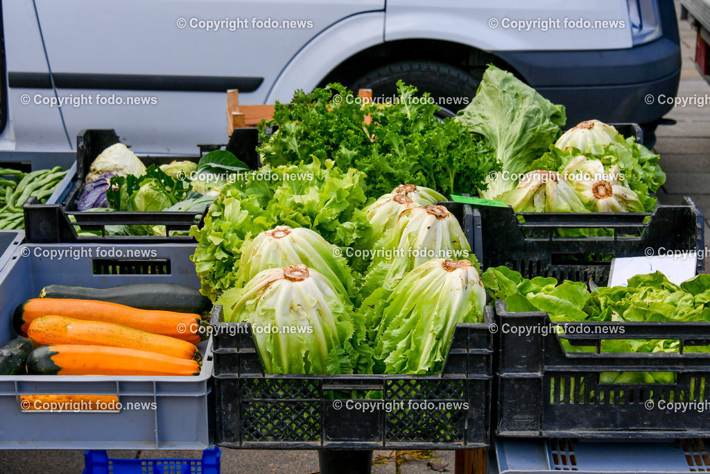 Deutschland_ Baden-Wuerttemberg_ Stuttgart_ 25.10.2025-28 | 25.10.2025, Deutschland, GER, Baden-Wuerttemberg, Stuttgart, im Bild Themenbild, Salat, gruener Salat, Eisbergsalat, Zucchini, Markstand, Gemuesestand, frisches Gemuese, Lebensmittel, Markt, Biogemuese,  Bauernmarkt, Stadtansichten, Feature, Symbolbild 