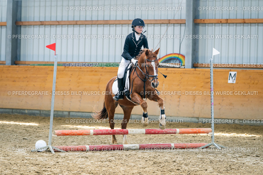 DSC02186 | Pferdegrafie