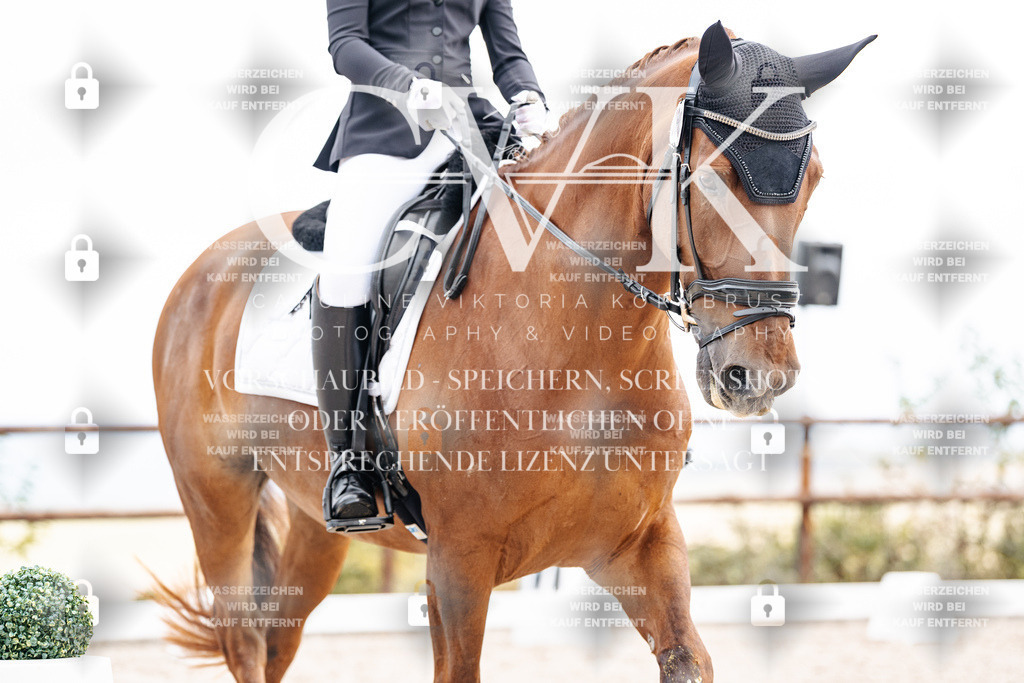 CK900876 | Turnierfotografie Pferdefotografie Trier Rheinland-Pfalz Pferdesport Reitsport Tierfotografie Sportfotografie Pferdevideo Pferdevideografie Equestrianvideography equestrianphotography  - Realisiert mit Pictrs.com