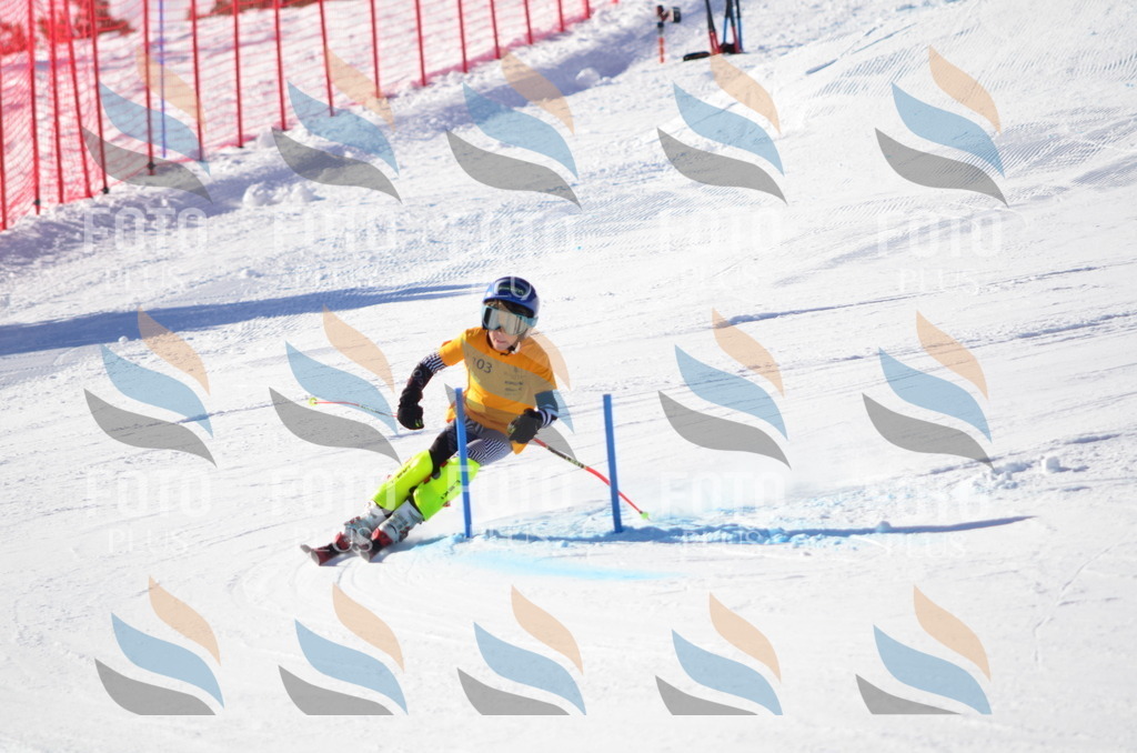 C6196 | holidayphoto