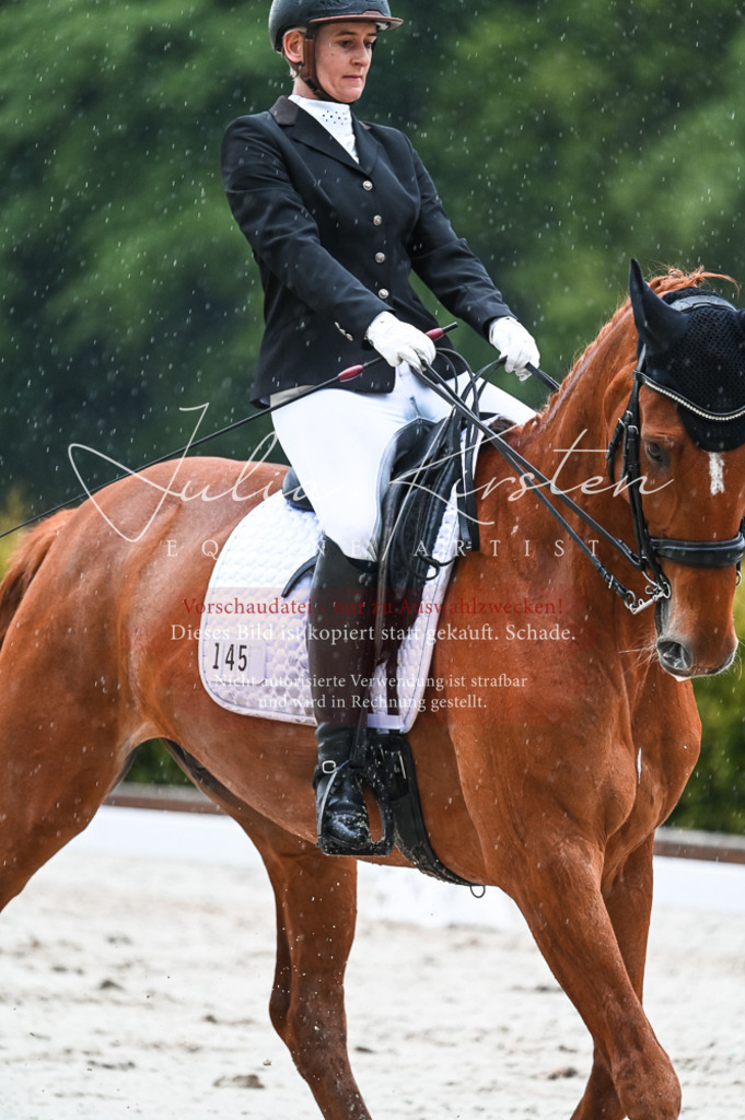 DSC_4409 | Pferde- und Turnierfotografie in Westsachsen. Pferdeportraits, Auftragszeichnungen und intuitive Kunst.