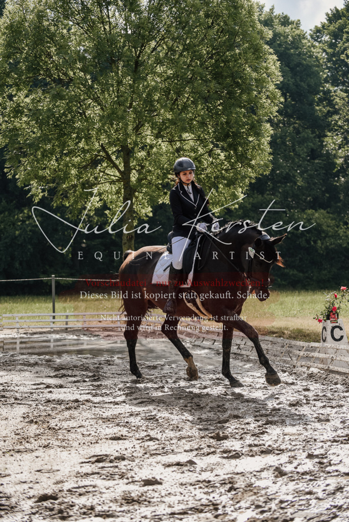 DSC_8603 | Pferde- und Turnierfotografie in Westsachsen. Pferdeportraits, Auftragszeichnungen und intuitive Kunst.