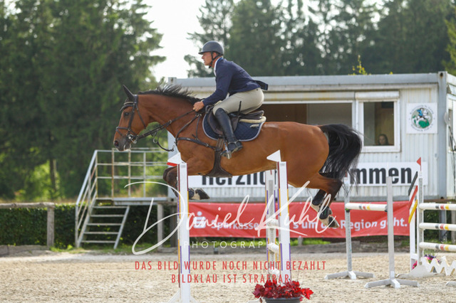 DKP43807 | Turniersportfotografie; Pferdefotografie; Dressurfotografie