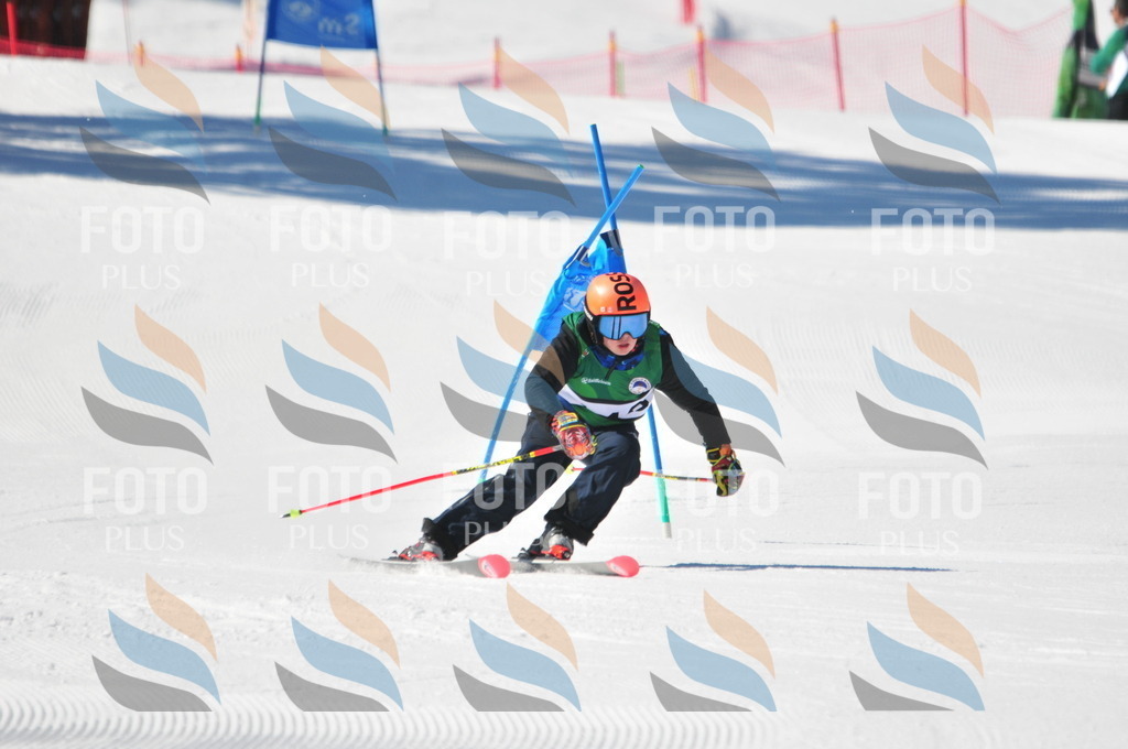 C3937 | holidayphoto