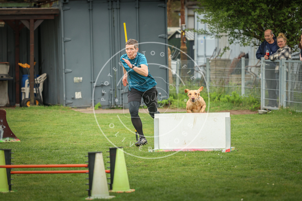 Pfotenfotografie_0L8A0569 | Hundefotografie, Tierfotograf, Pfotenfotografie, Fotoshooting Hund, Hunde Portrait, Hundesport, Hundeportraits, Heideshooting, Hunde, Sportfotograf, Hundefotograf, Turnierhundsport, THS,  - Realisiert mit Pictrs.com