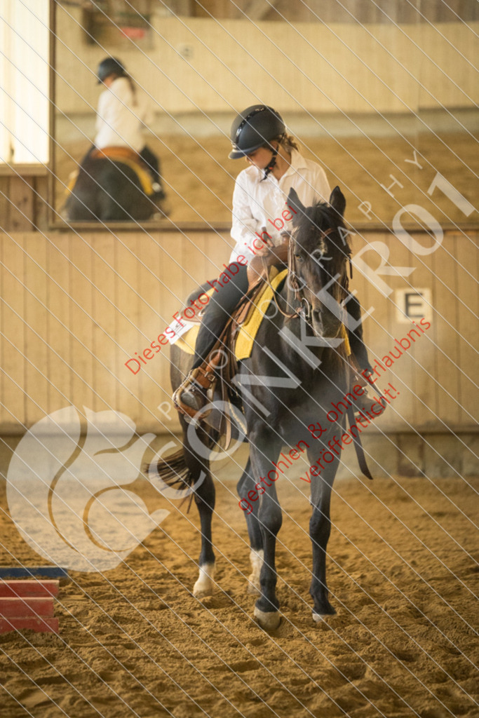 IMG_1612 | Sport-, Event- und Tierfotos in Profiqualität. Einfach auswählen, bestellen und herunterladen. Dein Moment – perfekt festgehalten.
