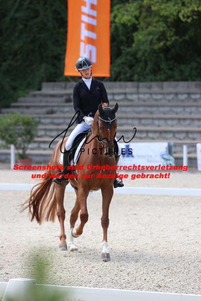 IMG_4516 | lmwpictures - Realisiert mit Pictrs.com