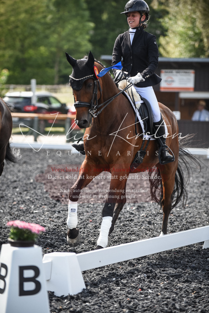 DSC_5182 | Pferde- und Turnierfotografie in Westsachsen. Pferdeportraits, Auftragszeichnungen und intuitive Kunst.