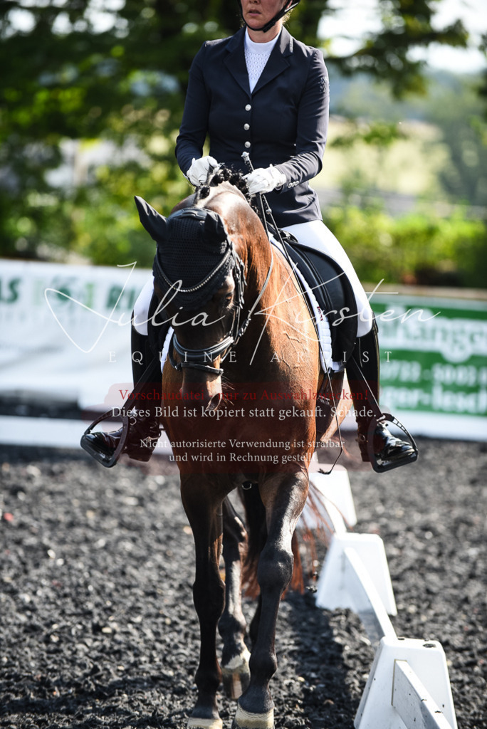 DSC_3111 | Pferde- und Turnierfotografie in Westsachsen. Pferdeportraits, Auftragszeichnungen und intuitive Kunst.