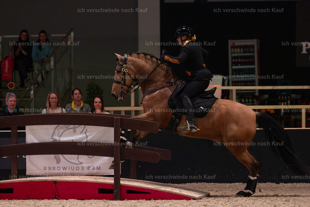 JoseraCup-219 | working equitationturnier fotograf videograf stoibphotography marixx film working equitation deutschland reitsport turnierfotografie eventfotografie equestrian events