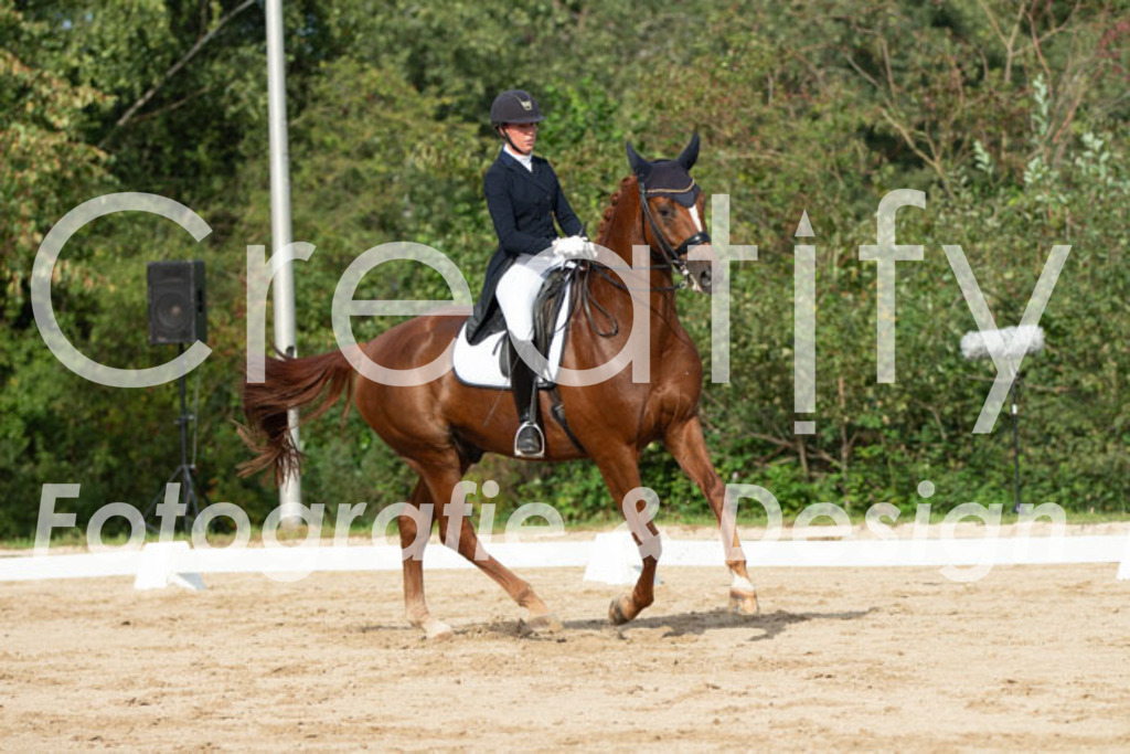 IMG_4170 | Creatify Fotografie