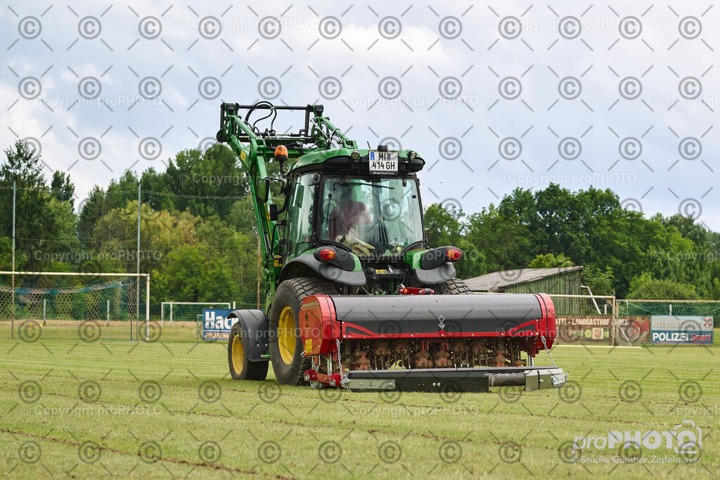 202507_Rernböck-Rasen_NZ9_1157 | proPHOTO - Realisiert mit Pictrs.com