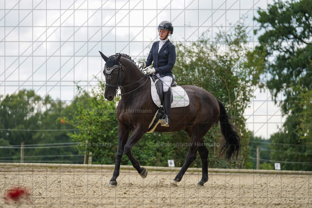 20230826-FAH05861 | Forstinning, 2023, Dressurturnier, Turniersportbilder, Turnierfotografen Bayern, Fotoagentur Herrmann, Reitsportfotografie, Turnierbilder