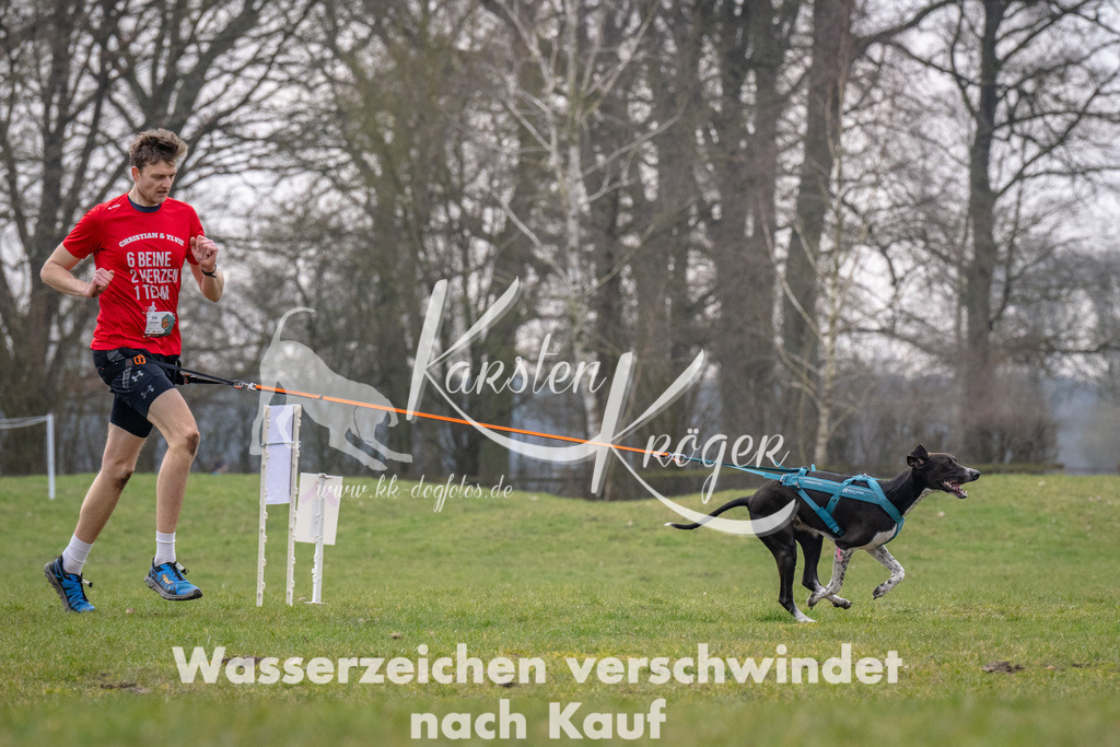 _ZZ92079 | kk-dogfotos