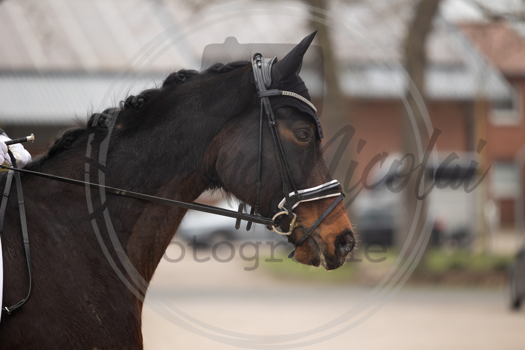 994A9216 | sabrinanicolaifotografie - Realisiert mit Pictrs.com