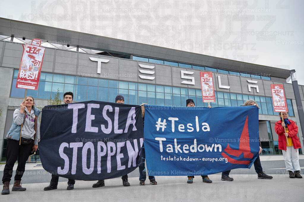 250412_TeslaWaldspaziergang_00016 | Vanessa Kleinwächter - Realisiert mit Pictrs.com