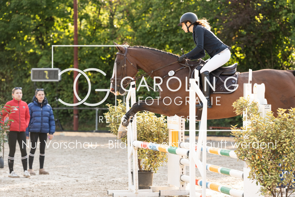 DSC01750 | Carolin Gieschke