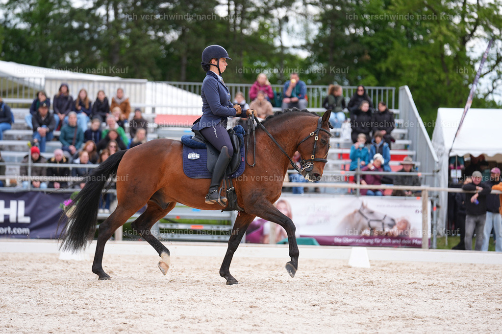 PI26_DR_259_StoibphotographySIN09459.jpg | working equitationturnier fotograf videograf stoibphotography marixx film working equitation deutschland reitsport turnierfotografie eventfotografie equestrian events