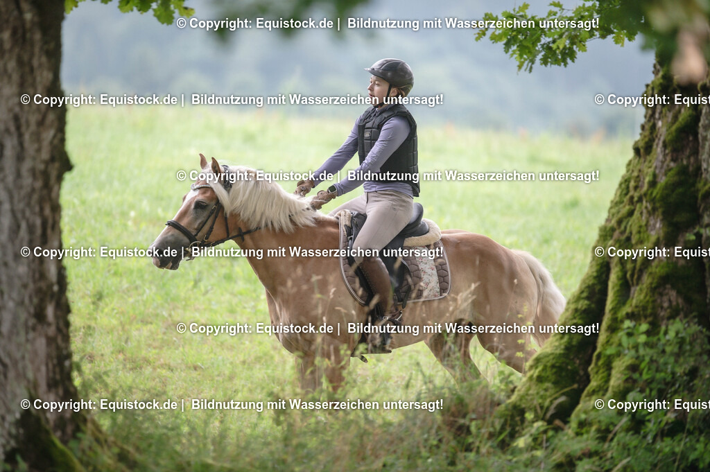 20250726_Vielseitigkeitslehrgang-Marbach_0303 | Foto: Thomas Hartig