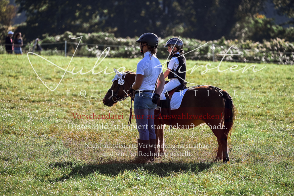 DSC_0450 | Pferde- und Turnierfotografie in Westsachsen. Pferdeportraits, Auftragszeichnungen und intuitive Kunst.