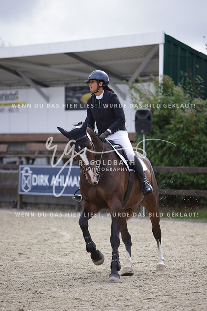 1J2A0341Louiza Tiedje_ Mr. Harms_ Kn755_ Havekost | Foto- und Videografie für alles rund ums Pferd. Hochwertige Bilder und Videos vom Spring- und Dressurreiten, Voltigieren & mehr. Jetzt aktuelle Veranstaltungen und Preise im Shop ansehen. - Realisiert mit Pictrs.com