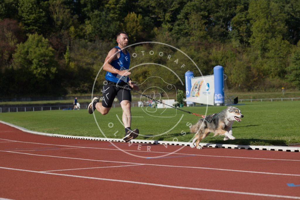 0L8A9747 | Hundefotografie, Tierfotograf, Pfotenfotografie, Fotoshooting Hund, Hunde Portrait, Hundesport, Hundeportraits, Heideshooting, Hunde, Sportfotograf, Hundefotograf, Turnierhundsport, THS,  - Realisiert mit Pictrs.com