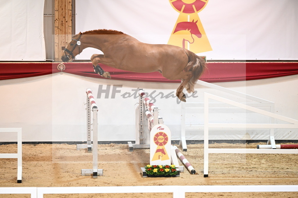 Kat.-Nr. 30 v. Tobago Z_Laue_2241359 | hf-fotografie - Realisiert mit Pictrs.com