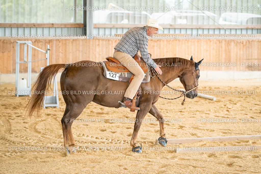 DSC07094 | Pferdegrafie