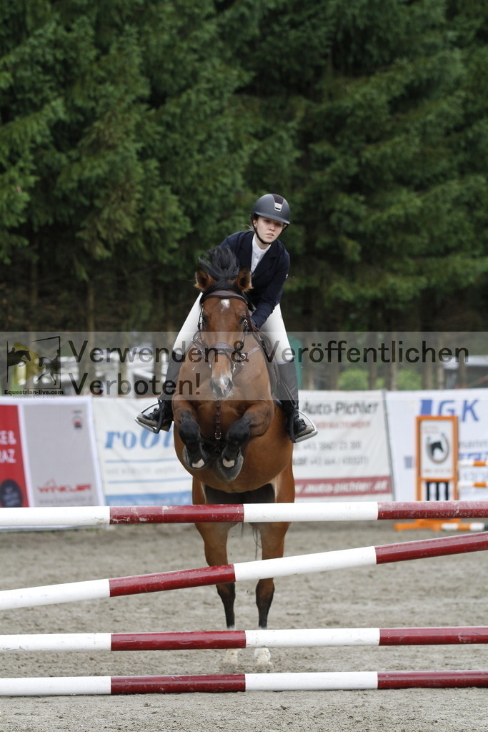 _MG_7579 | equestrian-live-com