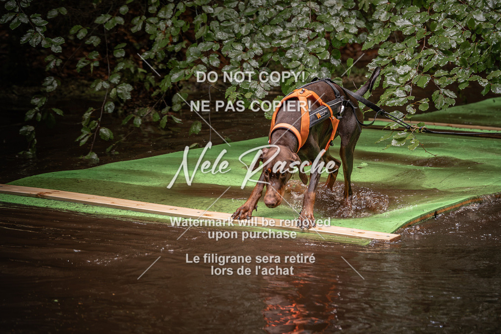 nelerasche_Wingst_Sa1330-1400_63 | nelerasche