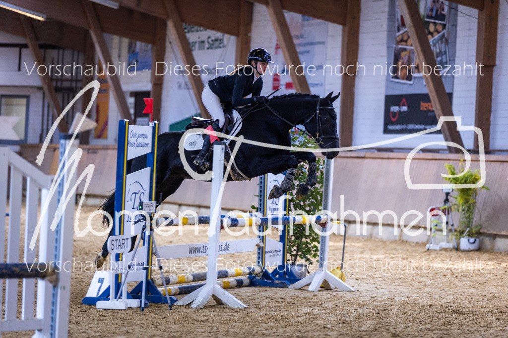 Sth-Gewöhnung-024 | MomenTaufnahmen Pferdesportfotos