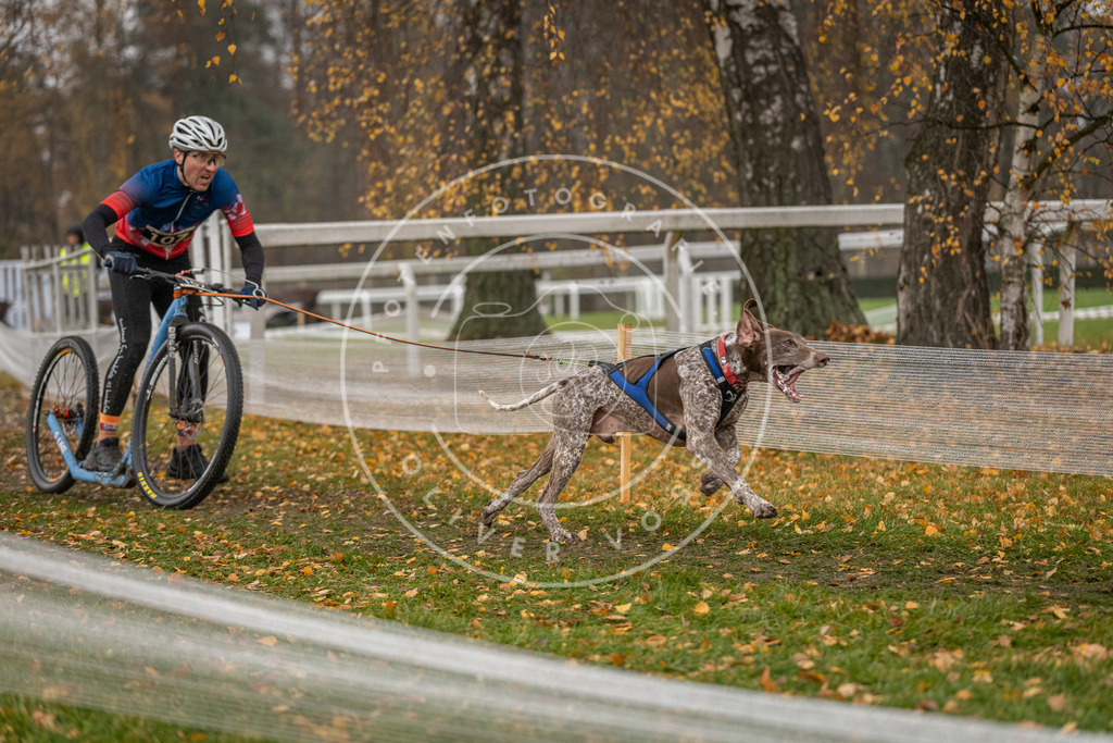 CaniXpix_DV3A7779 | Hundefotografie, Tierfotograf, Pfotenfotografie, Fotoshooting Hund, Hunde Portrait, Hundesport, Hundeportraits, Heideshooting, Hunde, Sportfotograf, Hundefotograf, Turnierhundsport, THS,  - Realisiert mit Pictrs.com