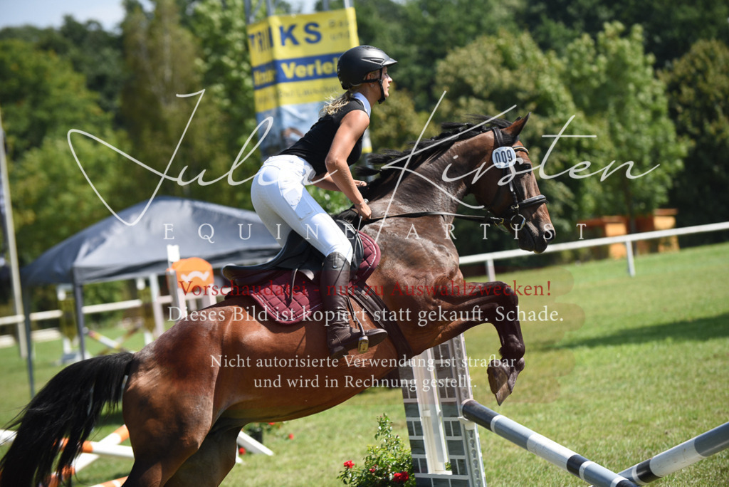 DSC_0151 | Pferde- und Turnierfotografie in Westsachsen. Pferdeportraits, Auftragszeichnungen und intuitive Kunst.