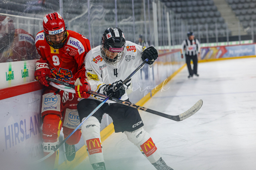 701A3182 | Sportbilder, Sportfotograf, Hochzeits- und Eventfotografin, Flugshows, Portraits und Tiershooting, Aviation, Downhill, Nationalleague, Swissleague, International