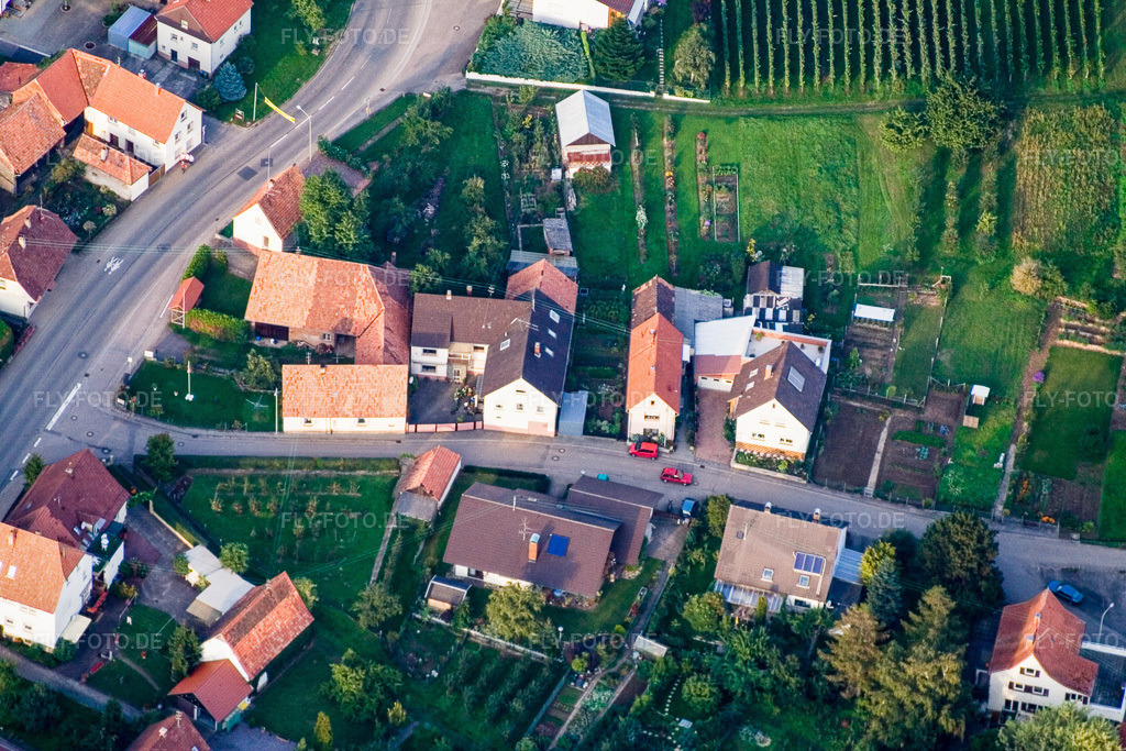Luftbild: Wiesenstraße mit Freigeist Mosterei im Ortsteil Rechtenbach in Schweigen-Rechtenbach im Bundesland Rheinland-Pfalz in Deutschland. Foto: IMG_4181.jpg vom 29.09.2006 durch Werner Riehm/FLY-FOTO.de
