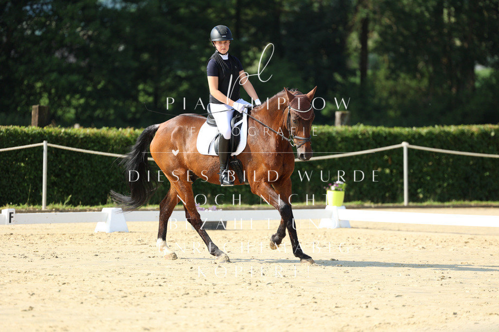 IMGM9121 | pl-fotografie