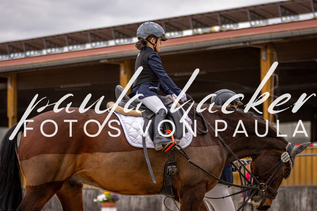 IMG_3991 | Erleben Sie dynamische Sport- und emotionale Tierfotografie in Süddeutschland mit Fotos von Paula. Spezialisiert auf Pferde- und Hundefotografie sowie Sportevents. Kontaktieren Sie mich für einzigartige und ausdrucksstarke Bilder Ihrer besonderen Momente. - Realisiert mit Pictrs.com