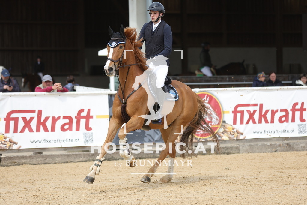 0P6A5580 | Willkommen bei Brunnmayr - Design & Fotografie – Ihrem Spezialisten für Reitturniere und Pferdeveranstaltungen in Oberösterreich, Salzburg und Bayern! Seit über 17 Jahren sind wir leidenschaftlich dabei.