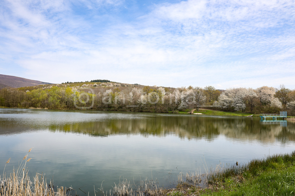 A.Trupina-235 | antonija-trupina - Realisiert mit Pictrs.com