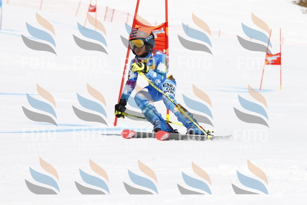 _U3G4347 | holidayphoto