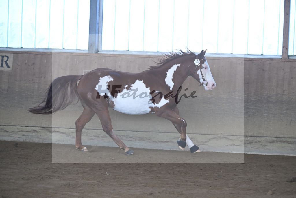 Kat-Nr. 10 ARH Like One Marvel v. One Gun_Reicherzer_49250397 | hf-fotografie - Realisiert mit Pictrs.com