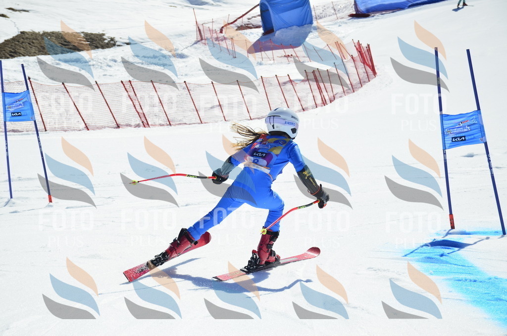 _ELE9772 | holidayphoto