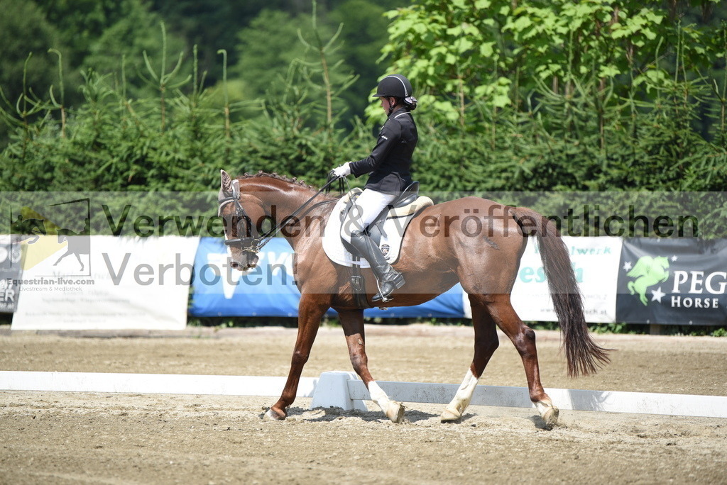 DSC_8803 | equestrian-live-com