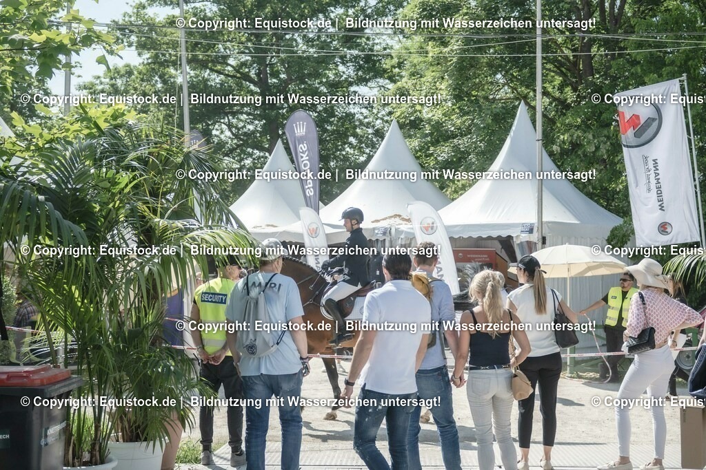 ZFC_4334 | equistock