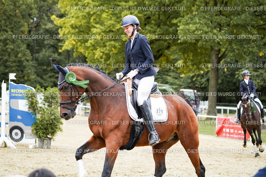 DSC02490 | Pferdegrafie